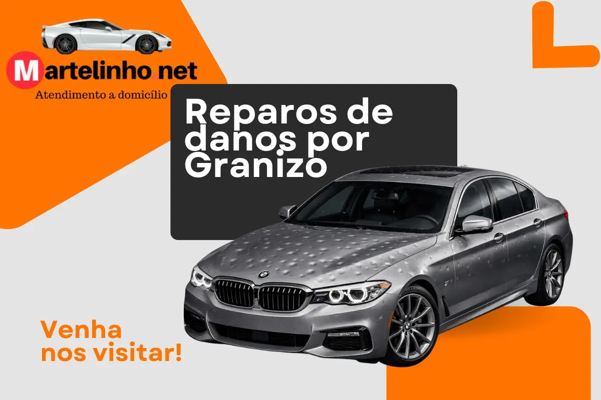 Recuperação de Danos por Granizo Martelinho.Net